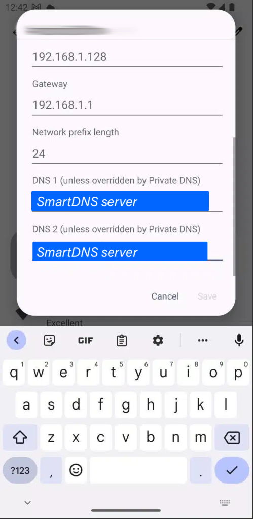 Android SmartDNS setup guide