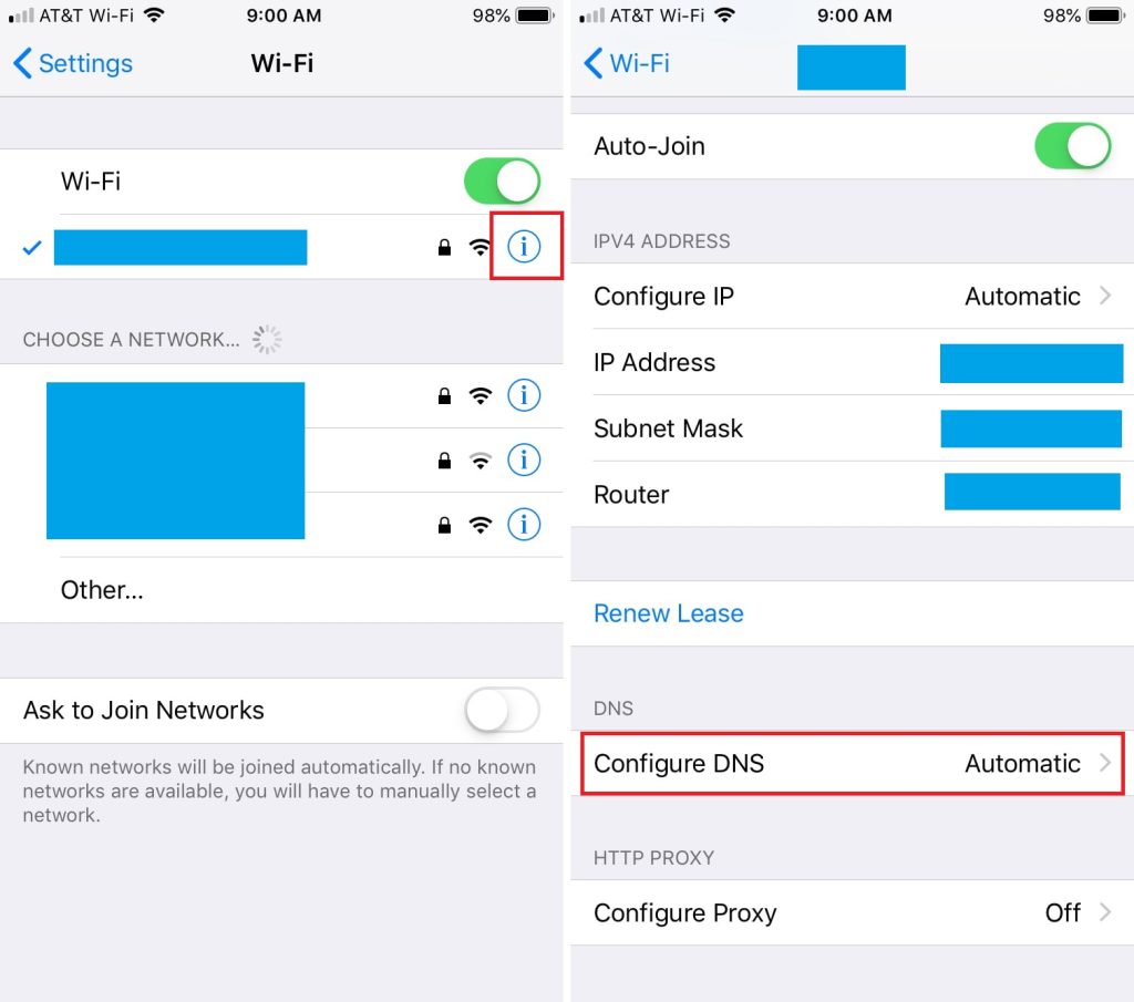 iPhone SmartDNS setup guide