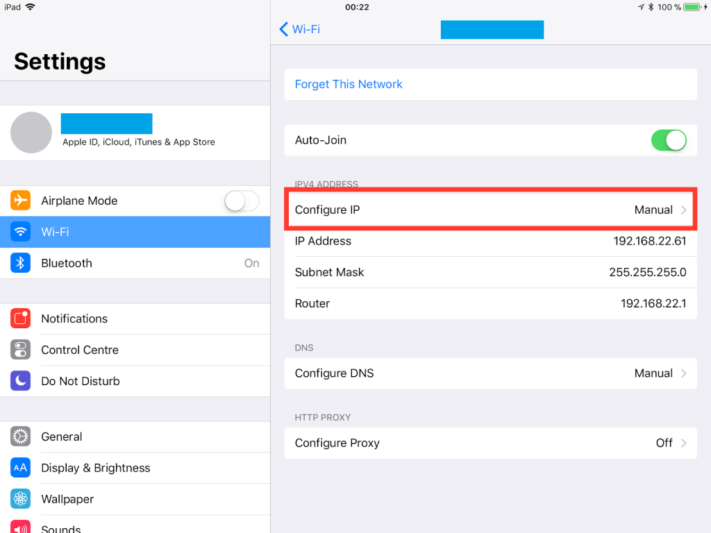 iPad SmartDNS setup guide