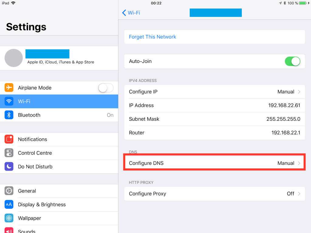 iPad SmartDNS setup guide