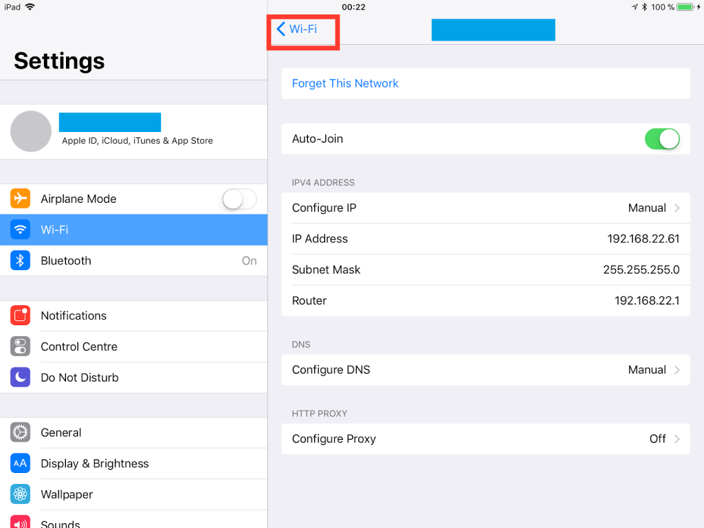 iPad SmartDNS setup guide