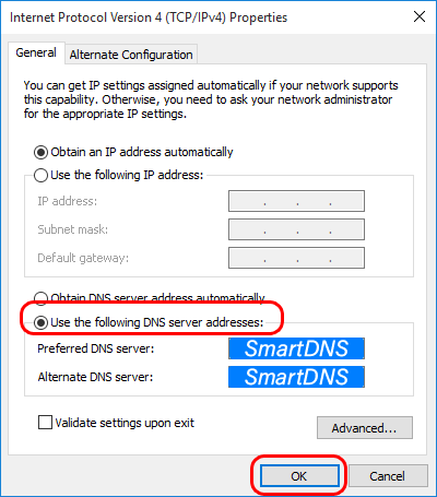 Windows 10 SmartDNS setup guide